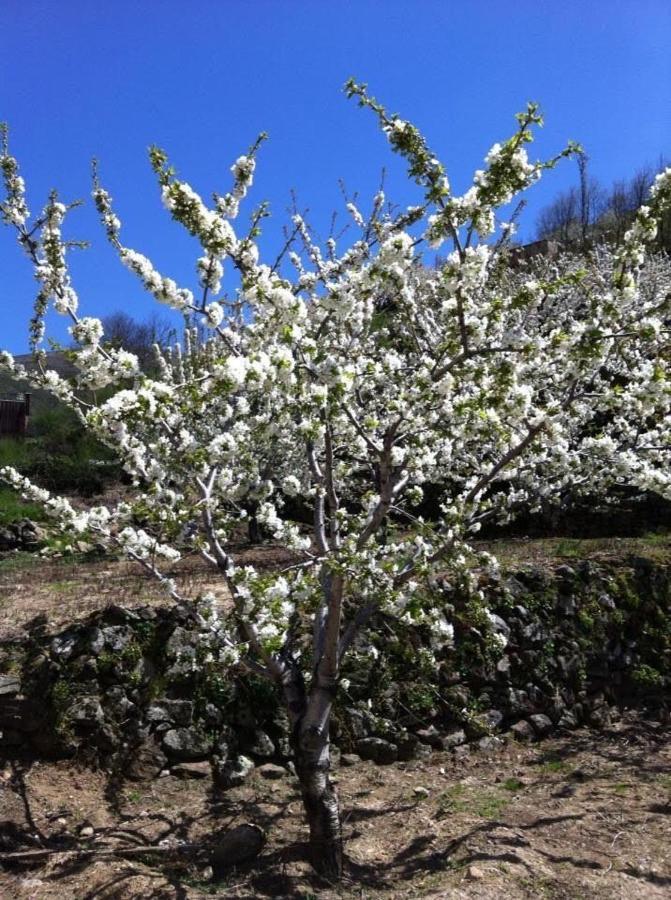 La Escondida Villa Tornavacas Kültér fotó